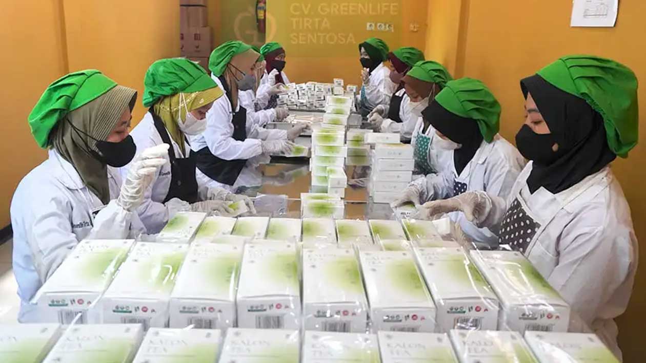 client jasausahasidoarjo pabrik pembuatan produksi teh celup greenlife tirta sentosa sidoarjo